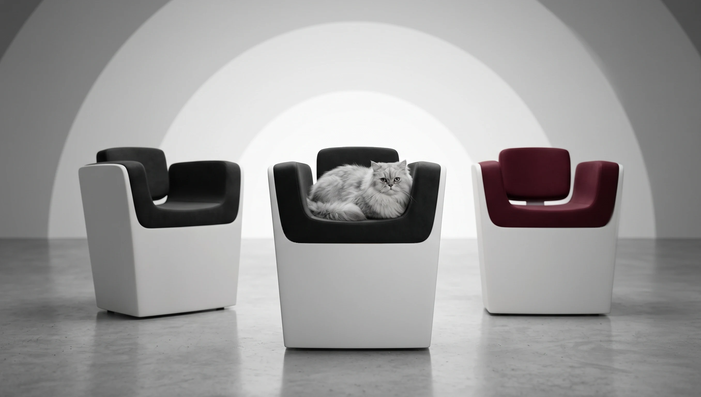 Three C-Lounge chairs with a cat sitting on the centre chair
